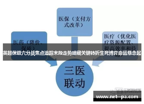 英超保级六分战焦点追踪末段走势暗藏关键转折生死博弈命运悬念起